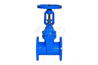 Z41X明杆法兰闸阀1-1